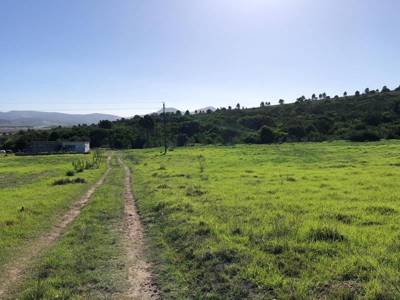 0 Bedroom Property for Sale in Baardskeerdersbos Western Cape